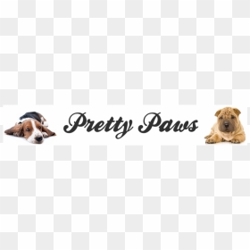 Pretty Paws - Sharpei, HD Png Download - puppy paw png