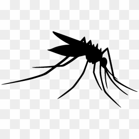 Mosquito Clip Art Insect Silhouette Line Art - Mosquito Silhouette Transparent Background, HD Png Download - mosquito silhouette png