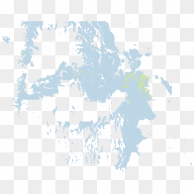 Tree, HD Png Download - snow on the ground png