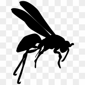 Wasp Silhouette, HD Png Download - mosquito silhouette png