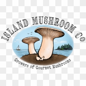 Website Logo - Mushrooms Company, HD Png Download - shrooms png
