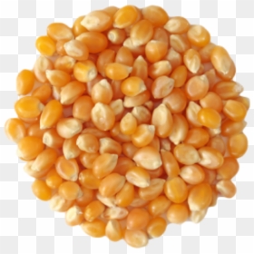 Popcorn - Starches, HD Png Download - maiz png