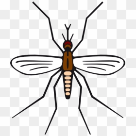 Mosquito In Brown Color Clip Art At Clker Com - Mosquito Black And White Clipart, HD Png Download - mosquito silhouette png