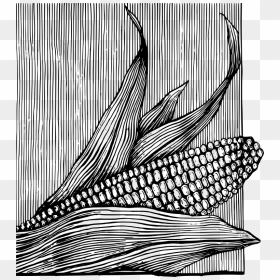 Free Corn On The Cob, HD Png Download - maiz png