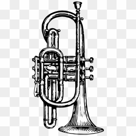 Trumpet, HD Png Download - trumpet clipart png