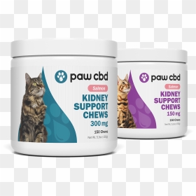 Pawcbd, Inc, HD Png Download - puppy paw png