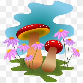 Funky Mushrooms Digital Clipart Image Library Mushrooms - Clipart Mushroom, HD Png Download - shrooms png