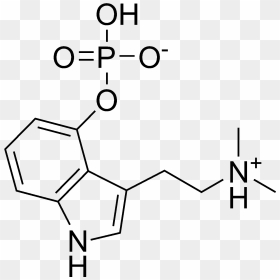 Shrooms For Mental Health, Alternative Medicine & - 4 Aco Dmt Molecule Png, Transparent Png - shrooms png