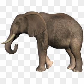 Слон Клипарт, HD Png Download - elephant png