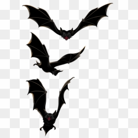 Bat Halloween Png, Transparent Png - bat png