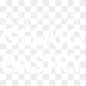 Tan, HD Png Download - school png