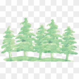 Watercolor Trees No Background, HD Png Download - pine tree png
