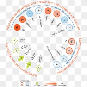 Fundamental Particles Of Atom, HD Png Download - particles png