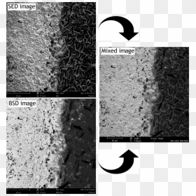 Monochrome, HD Png Download - particles png