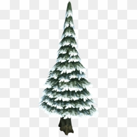 Transparent Pine Tree Snow, HD Png Download - pine tree png