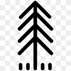 Pine Tree Png, Transparent Png - pine tree png