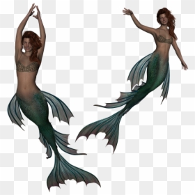 Siren Mermaid Png, Transparent Png - mermaid png