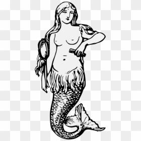 Mermaid In Heraldry, HD Png Download - mermaid png
