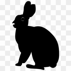 Animal With Shadow Clipart, HD Png Download - silhouette png
