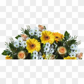Soka Gakkai Mothers Day, HD Png Download - flores png