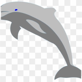 Dolphin Png, Transparent Png - dolphin png
