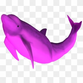 Pink Dolphin Transparent Background, HD Png Download - dolphin png