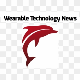 Graphic Design, HD Png Download - dolphin png