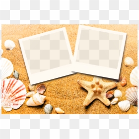 Starfish Ppt Background, HD Png Download - polaroid frame png