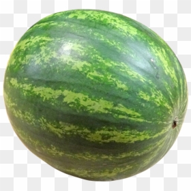 Fruit Png, Transparent Png - watermelon png