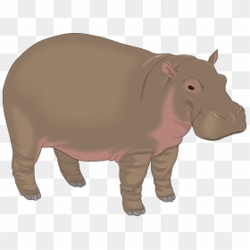 Hippopotamus Clipart, HD Png Download - kumamon png