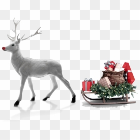 Reno De Navidad Blanco, HD Png Download - christmas deer png