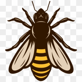 Bee, HD Png Download - bowl of cheerios png