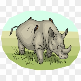 Black Rhinoceros, HD Png Download - throw blanket png