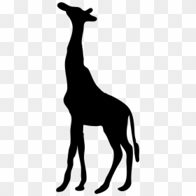 Giraffe Silhouette Transparent, HD Png Download - giraffe cartoon png