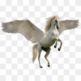 Unicorn Horse, HD Png Download - flying unicorn png