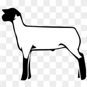 Club Lamb, HD Png Download - lamb clipart png