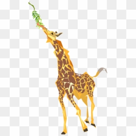 Cartoon Giraffe Eating Leaves, HD Png Download - giraffe cartoon png