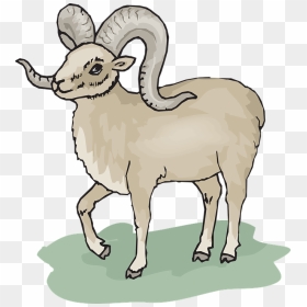 Big Horned Sheep Cartoon, HD Png Download - lamb clipart png
