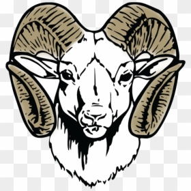 Blue Valley Randolph Rams, HD Png Download - lamb clipart png