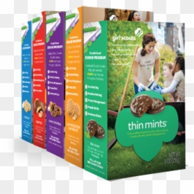 It's The Most Wonderful Time Of The Year, And This - Best Girl Scout Cookies Box, HD Png Download - girl scout cookies png