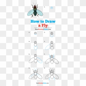 Nobody All Alone By Yourself, HD Png Download - flying unicorn png