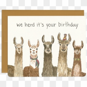 Llama Birthday Card Printable, HD Png Download - birthday card png