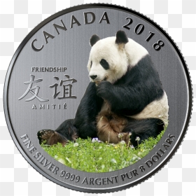 Royal Canadian Mint Panda Coin, HD Png Download - glowing heart png