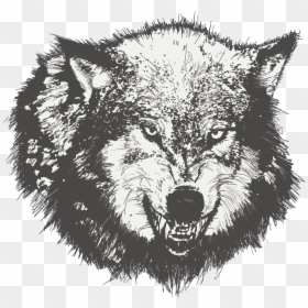 Wolf Angry Face Vector, HD Png Download - wolf drawing png