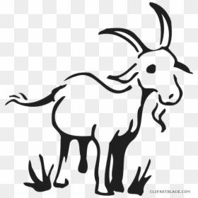 Goat Drawing Clipart, HD Png Download - goat clipart png
