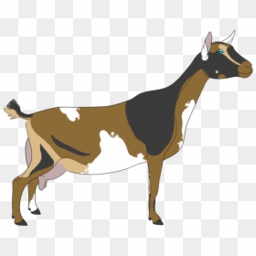 Goat, HD Png Download - goat clipart png