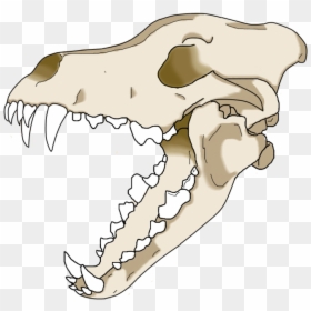 Wolf Skull Clip Art, HD Png Download - wolf drawing png