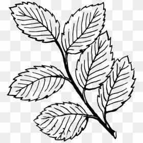 Leaves Clipart Black And White, HD Png Download - dog barking png