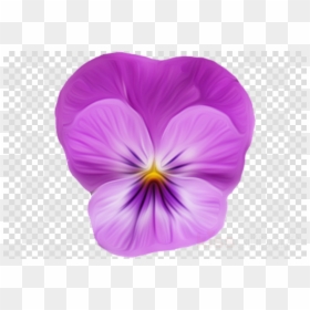Imagenes De Botones Png, Transparent Png - pansy png