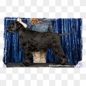 Hands Lifted In Praise, HD Png Download - schnauzer png
